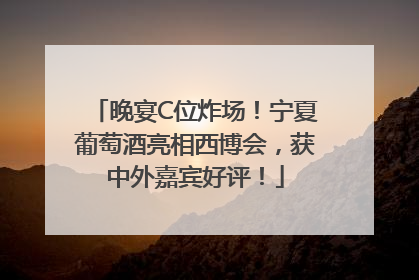 晚宴C位炸场！宁夏葡萄酒亮相西博会，获中外嘉宾好评！