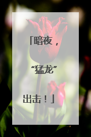 暗夜，“猛龙”出击！
