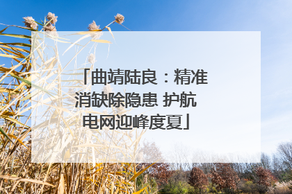曲靖陆良：精准消缺除隐患 护航电网迎峰度夏