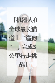 机器人在全球最长猫道上“遛狗”，完成3公里行走挑战