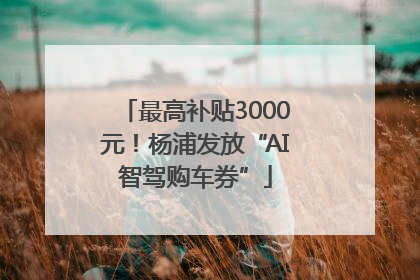 最高补贴3000元！杨浦发放“AI智驾购车券”