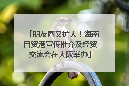 朋友圈又扩大！海南自贸港宣传推介及经贸交流会在大阪举办