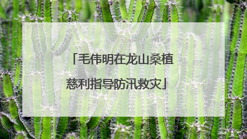 毛伟明在龙山桑植慈利指导防汛救灾