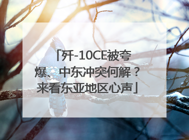 歼-10CE被夸爆、中东冲突何解？来看东亚地区心声