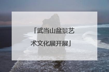 武当山盆景艺术文化展开展
