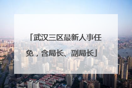 武汉三区最新人事任免，含局长、副局长