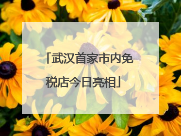 武汉首家市内免税店今日亮相