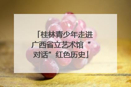 桂林青少年走进广西省立艺术馆“对话”红色历史