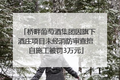 桥畔葡萄酒集团因旗下酒庄项目未经消防审查擅自施工被罚3万元
