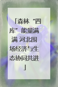 森林“四库”能量满满 河北围场经济与生态协同共进