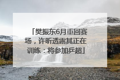樊振东6月重回赛场，许昕透露其正在训练：将参加乒超