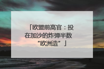 欧盟前高官：投在加沙的炸弹半数“欧洲造”