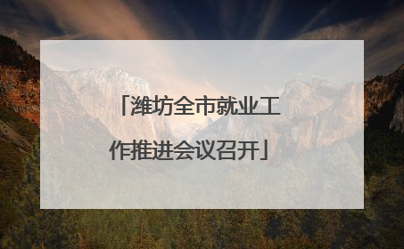 潍坊全市就业工作推进会议召开