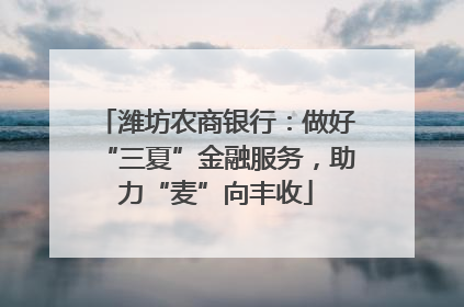 潍坊农商银行：做好“三夏”金融服务，助力“麦”向丰收