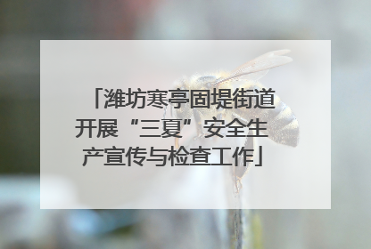 潍坊寒亭固堤街道开展“三夏”安全生产宣传与检查工作