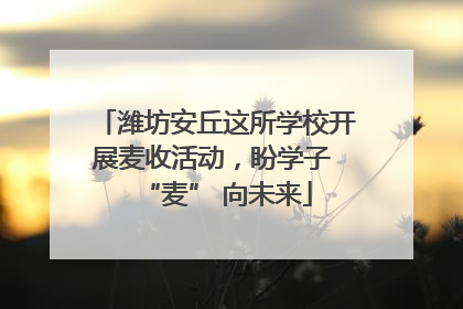 潍坊安丘这所学校开展麦收活动，盼学子 “麦” 向未来