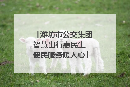 潍坊市公交集团智慧出行惠民生 便民服务暖人心