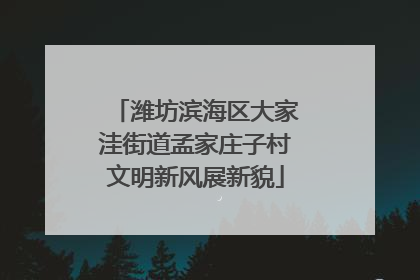 潍坊滨海区大家洼街道孟家庄子村文明新风展新貌