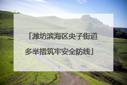 潍坊滨海区央子街道多举措筑牢安全防线