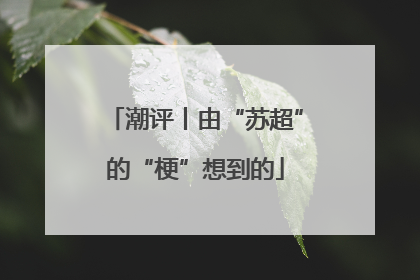 潮评丨由“苏超”的“梗”想到的