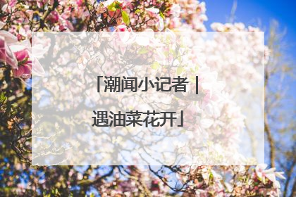 潮闻小记者｜遇油菜花开
