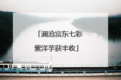 澜沧富东七彩紫洋芋获丰收