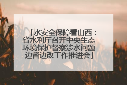 水安全保障看山西：省水利厅召开中央生态环境保护督察涉水问题边督边改工作推进会