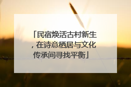 民宿焕活古村新生，在诗意栖居与文化传承间寻找平衡