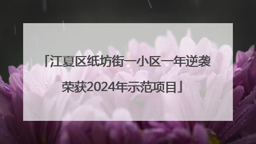 江夏区纸坊街一小区一年逆袭 荣获2024年示范项目