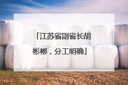 江苏省副省长胡彬郴，分工明确