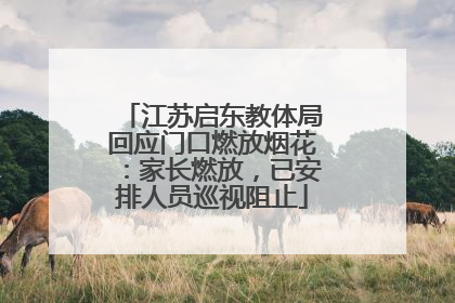 江苏启东教体局回应门口燃放烟花：家长燃放，已安排人员巡视阻止