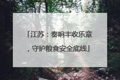 江苏：奏响丰收乐章，守护粮食安全底线