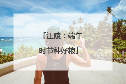 江陵：端午时节种好粮