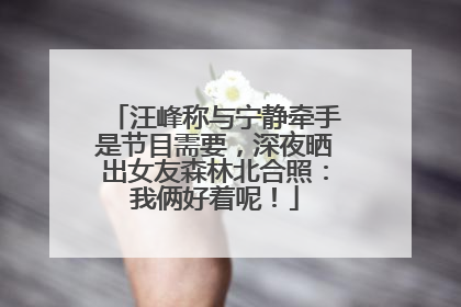 汪峰称与宁静牵手是节目需要，深夜晒出女友森林北合照：我俩好着呢！
