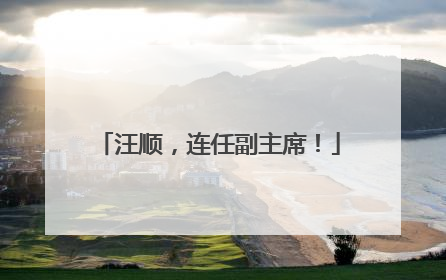 汪顺，连任副主席！