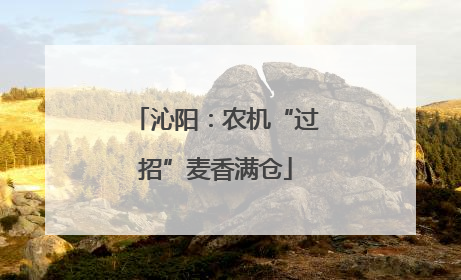 沁阳：农机“过招”麦香满仓