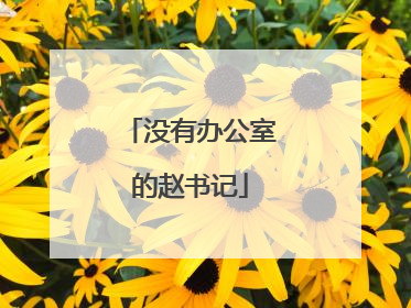 没有办公室的赵书记