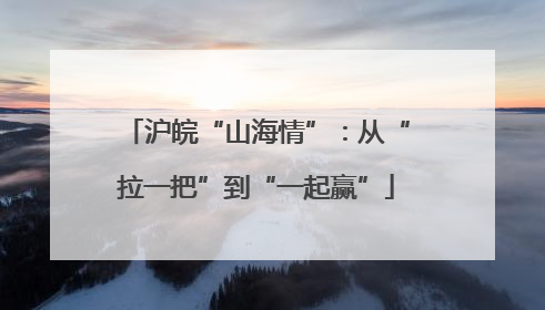 沪皖“山海情”：从“拉一把”到“一起赢”