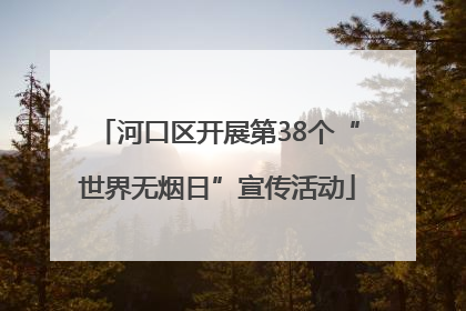 河口区开展第38个“世界无烟日”宣传活动