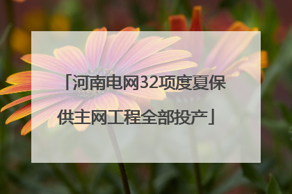 河南电网32项度夏保供主网工程全部投产