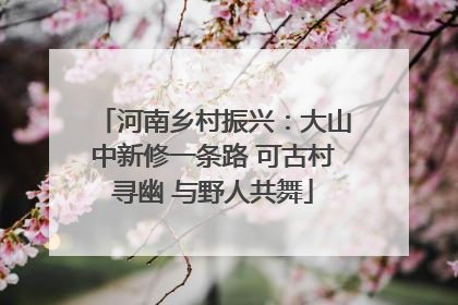 河南乡村振兴：大山中新修一条路 可古村寻幽 与野人共舞