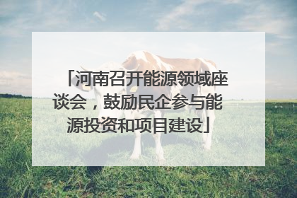河南召开能源领域座谈会，鼓励民企参与能源投资和项目建设