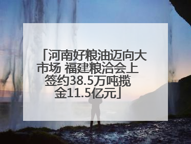 河南好粮油迈向大市场 福建粮洽会上签约38.5万吨揽金11.5亿元