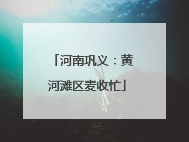 河南巩义：黄河滩区麦收忙