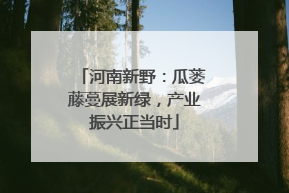 河南新野：瓜蒌藤蔓展新绿，产业振兴正当时