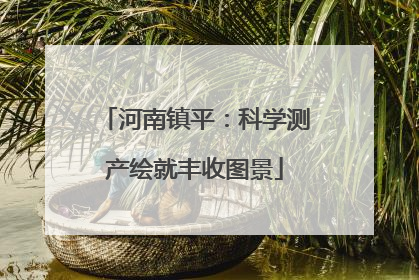 河南镇平：科学测产绘就丰收图景