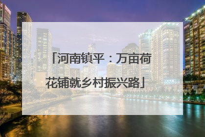 河南镇平：万亩荷花铺就乡村振兴路