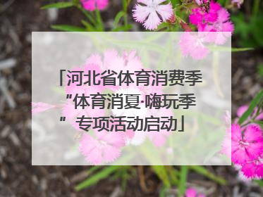 河北省体育消费季“体育消夏·嗨玩季”专项活动启动