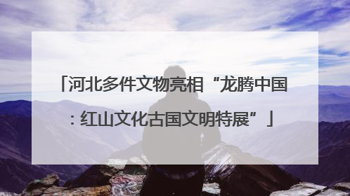 河北多件文物亮相“龙腾中国：红山文化古国文明特展”