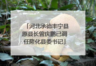 河北承德丰宁县原县长曾庆鹏已调任隆化县委书记